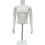 Male Plastic Half Bust With Glass Stand