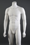 Male Headless Mannequins
