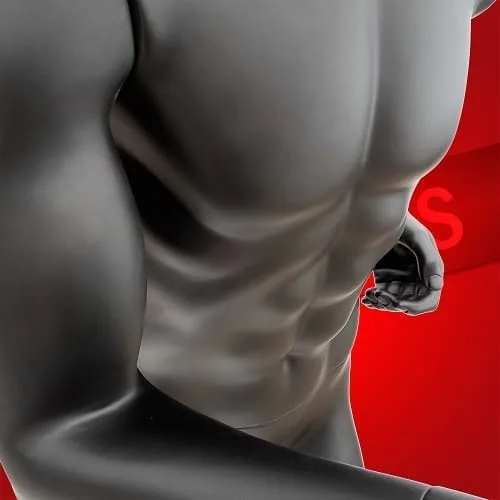 Bodybuilder Muscle Mannequin