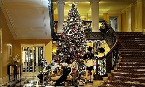 Its The Most Wonderful Time of the Year
