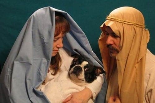 Worst Christmas Cards