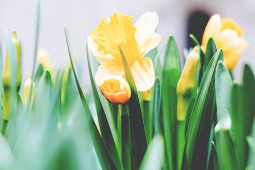 2015: The perfect Easter for retail?