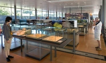 Visual Displays with Counters, Cabinets and Showcases