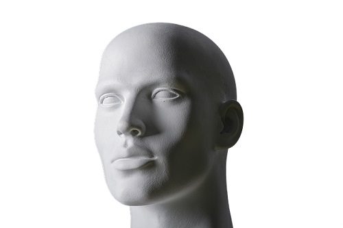 Male Mannequin Head and Shoulders