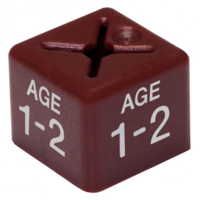 Childrens Dual Age Size Cubes