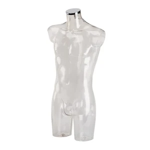 Clear Male Bust Form Without Stand 76106