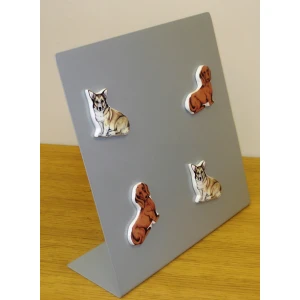 Counter Magnet Display 16008