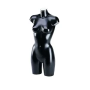 Display Busts and Body Forms