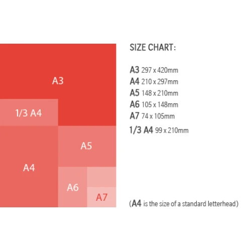 Graphic & Poster Holder A4 Promoter Unit 65005