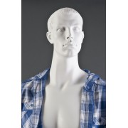 Male Sculptured Hair Mannequins