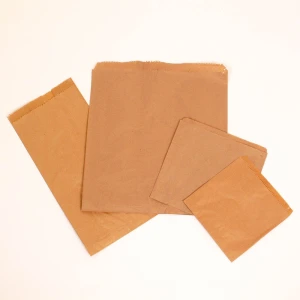 Plain Brown Kraft Paper Bags