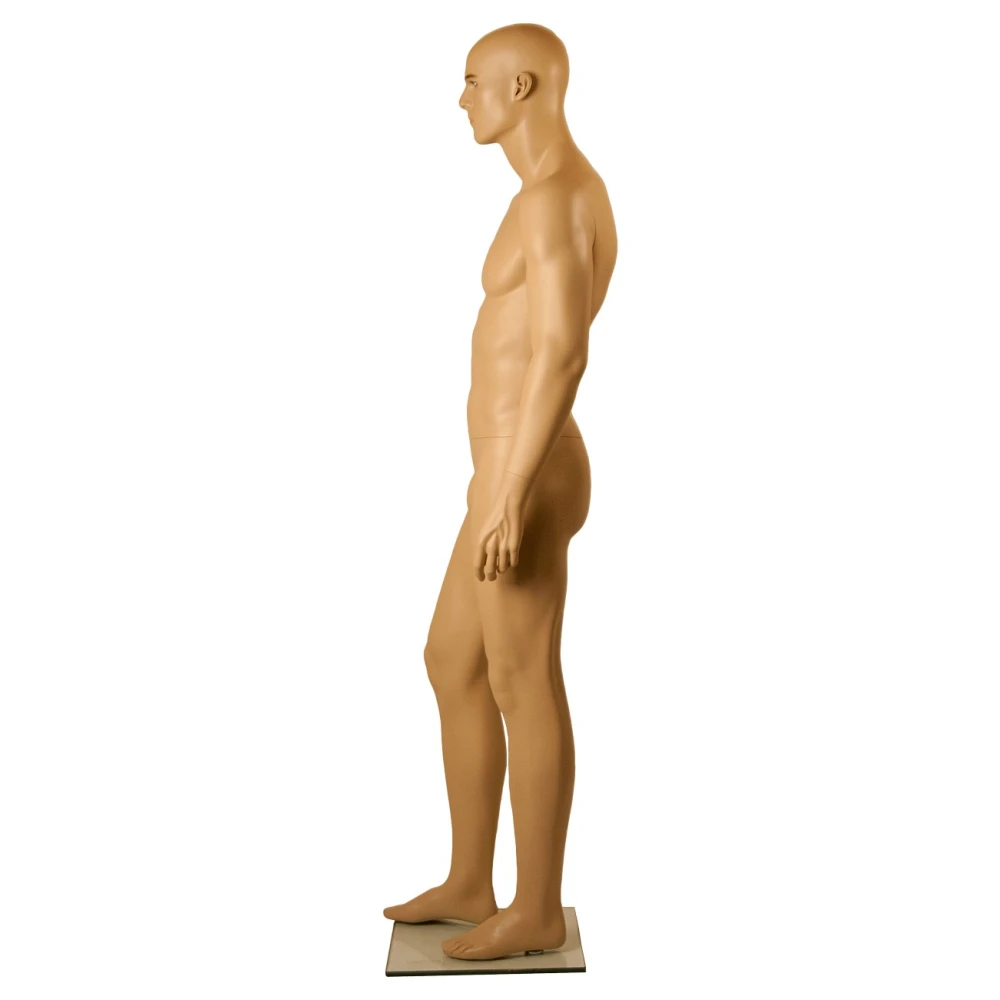 Side View of Male Mannequin