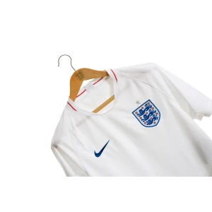 Three Lions England Gold Logo